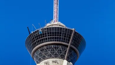 Krypto-Betrug: Höchste Verluste 2025 mit 17 Milliarden USD