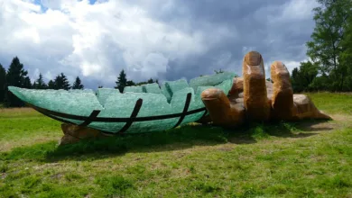 ARK Invest erhöht Krypto-Anteile trotz Marktumschwung