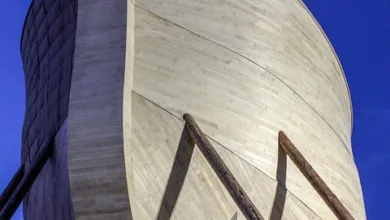 ARK Invest erweitert Angebot mit neuen Krypto-ETFs für Investoren