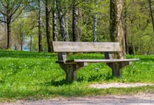 Robinhood listet LIT-Token: Erholung für DEX nach Rückschlag