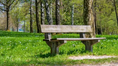 Robinhood listet LIT-Token: Erholung für DEX nach Rückschlag