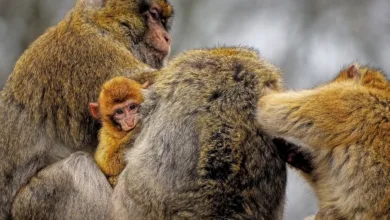 Nasdaq und CME Group bündeln Krypto-Kräfte: Ein neuer Index