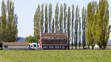 State Street präsentiert innovative Krypto-Plattform für Investoren