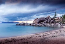 Arthur Hayes DeFi-Investitionen: Eine Wette auf 2026