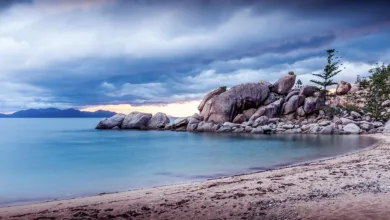 Arthur Hayes DeFi-Investitionen: Eine Wette auf 2026