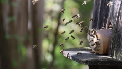 Wie ein Flug nach Nigeria zur Crypto-Innovation führte