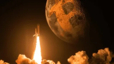 Optimismus am Kryptomarkt: Bitcoin auf dem Weg zur 100.000 Euro-Marke