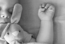 Rückkehr von TheDAO: 220 Millionen Dollar für Sicherheit