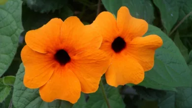 Großes Interesse an Krypto-ETFs: Fast 670 Mio. USD Zuflüsse