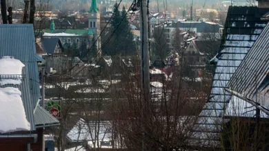 Bitcoin erreicht neue Höhen: Markt auf Rekordkurs