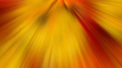 Boom bei digitalen Anlagen: Deutschland überholt Bitcoin