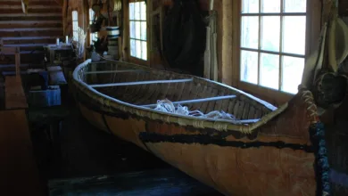 Tether startet USAT: Neuer Stablecoin für den amerikanischen Markt