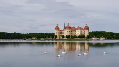 Ethereum 2026: Starke Impulse durch Glamsterdam-Upgrade