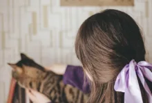 Stripe und Crypto.com: Neue Chancen für kanadische Händler