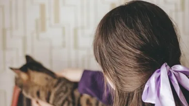 Stripe und Crypto.com: Neue Chancen für kanadische Händler