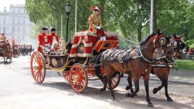 Krypto-Markt im Sinkflug: Anleger ziehen Milliarden ab
