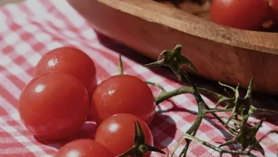 Bitcoin-Preis steigt nach Maduros Festnahme auf 93.000 Dollar