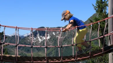 Krypto-Krise oder Erholung? Cramers Warnung polarisiert