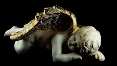 Bitcoin-Risiken: Emotionen und Schnelligkeit im Handel verstehen