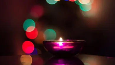 Aptos-Kursentwicklung: Ein Jahr voller Risiken für Investoren