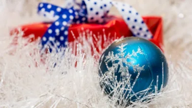 XRP startet stark ins neue Jahr: Ein Wendepunkt für Investoren