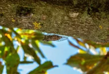 Neue Krypto-Vorschriften ab 2026: Transparenz verpflichtet