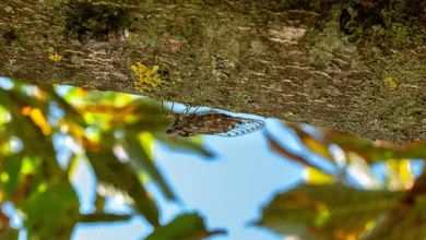 Neue Krypto-Vorschriften ab 2026: Transparenz verpflichtet