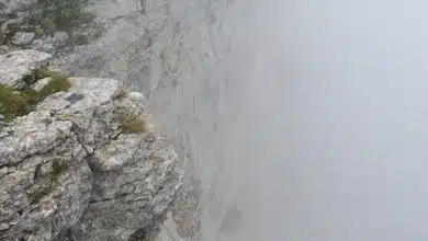 Bitcoin: Risiko oder Chance? Verstehen Sie die Gefahren