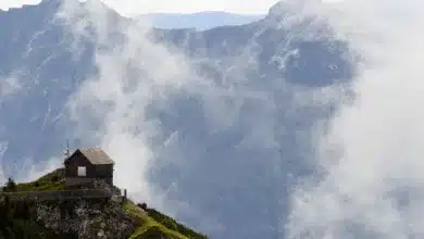 Datenschutz im digitalen Zeitalter: Ihre Optionen erklärt