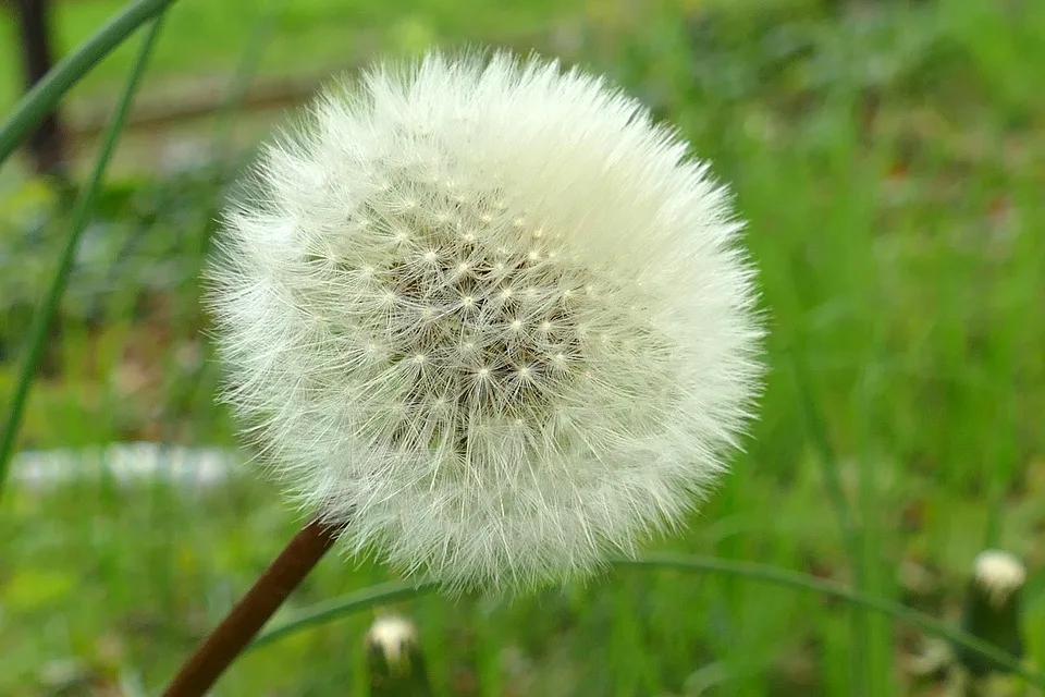 Die überraschende Verteilung der 100 Milliarden XRP im Fokus