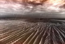 XRP-Kurssturz: Anzeichen für einen weiteren Rückgang?