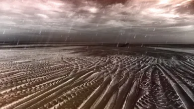 XRP-Kurssturz: Anzeichen für einen weiteren Rückgang?