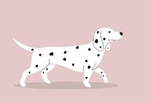 Ethereum unter Druck: Analysten warnen vor Widerstand bei 3.300 USD