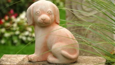 Bitcoin: Zwischen Hoffnung und Angst – Was jetzt zählt