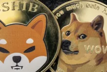 Memecoins im Abwärtstrend: Dogecoin und Shiba Inu im Fokus