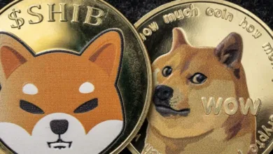 Memecoins im Abwärtstrend: Dogecoin und Shiba Inu im Fokus