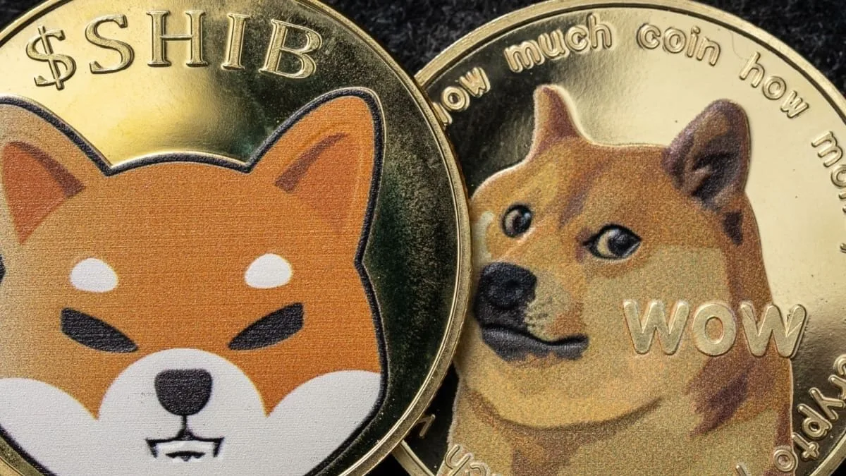 Memecoins im Abwärtstrend: Dogecoin und Shiba Inu im Fokus