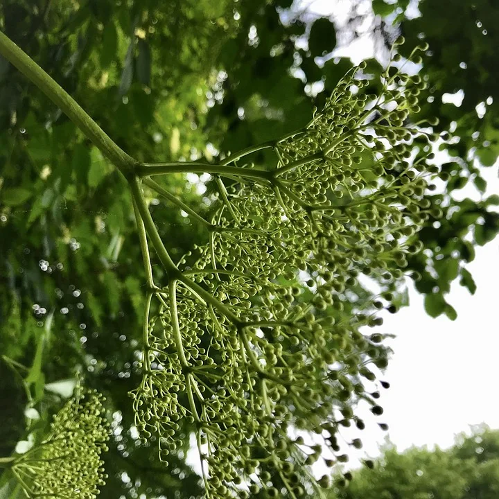 EU kritisiert Elon Musks Grok: Illegale Inhalte im Fokus