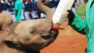 Fed pumpt 16 Mrd. USD ins Bankensystem – Was bedeutet das?