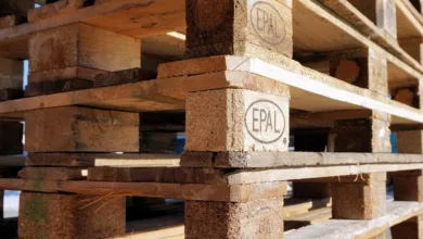 Bitvavo erzielt Rekordgewinn von 217 Millionen Euro in 2024