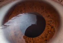 Dogecoin-Rallye: Ein Blick auf die neuen Marktentwicklungen