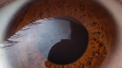 Dogecoin-Rallye: Ein Blick auf die neuen Marktentwicklungen