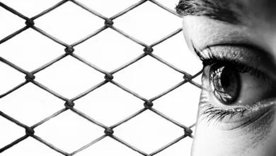 Bitcoin als Zukunft: Larchevêques Vision der Währungsrevolution