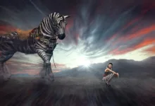 XRP-Kurs zeigt neue Dynamik: Halter setzen auf Stabilität