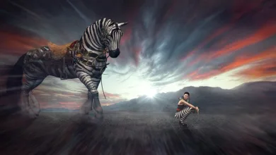 XRP-Kurs zeigt neue Dynamik: Halter setzen auf Stabilität