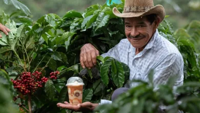 Colombian Steuerbehörde setzt neue Regelungen für Krypto-Plattformen in Kraft