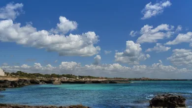 Bitcoin unter Druck: Trumps Rede wirkt sich aufs Sentiment aus