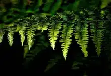 Kryptowährung Sui im Fokus: Kurssturz und Hoffnungen