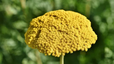 Bitcoin-Risiko: Hohe Volatilität und fallende Märkte im Blick