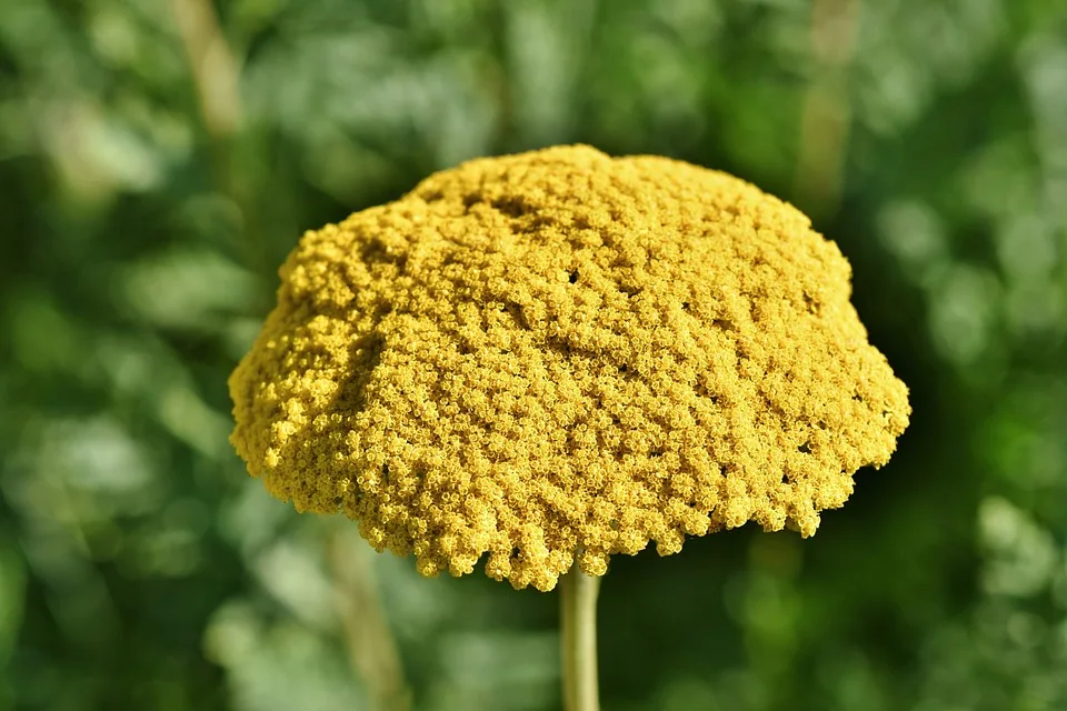 Bitcoin-Risiko: Hohe Volatilität und fallende Märkte im Blick